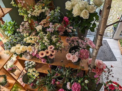 Immergrün, Blumenladen in Kaarst