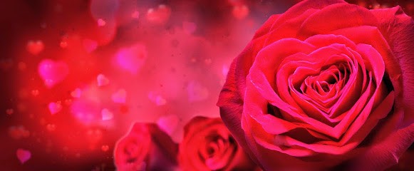 Blumen Schneider, Blumenladen in Neunkirchen