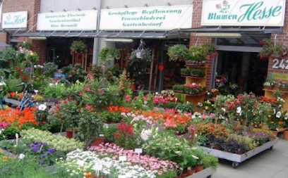 Blumen Hesse, Blumenladen in Hannover