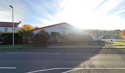 Edelweiß Floristik, Blumenladen in Meiningen