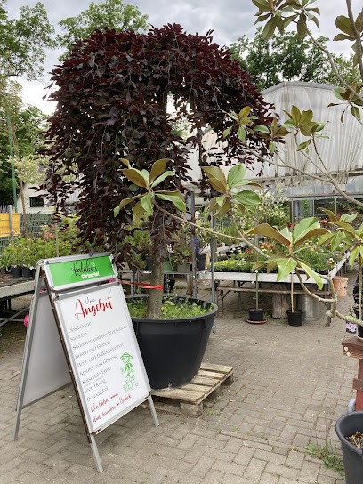 Kaliebes Blumenhaus, Blumenladen in Werneuchen