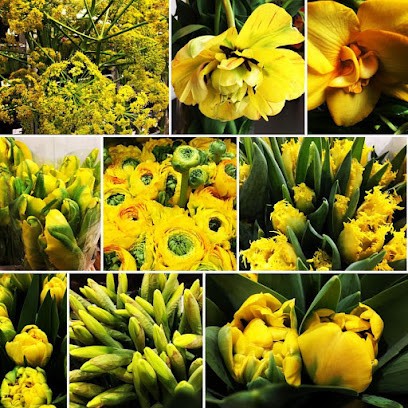 Hannes Blumenstube, Blumenladen in Remscheid