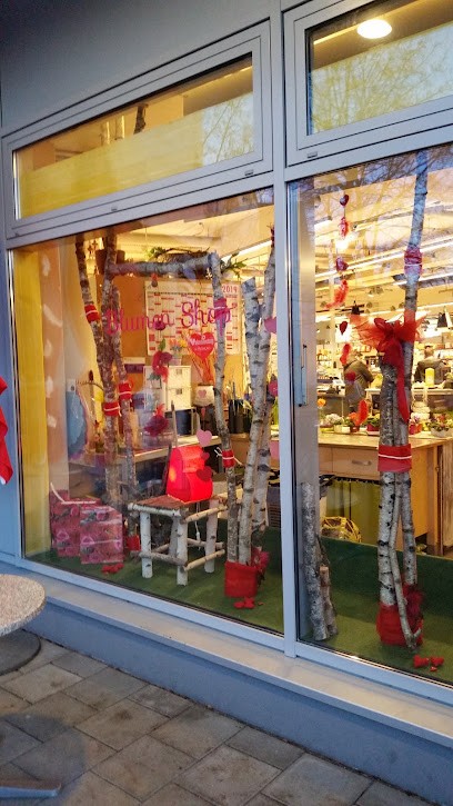 Blumenladen Puchheim - Blütenpracht Blumenshop Im AEZ, Blumenladen in Puchheim