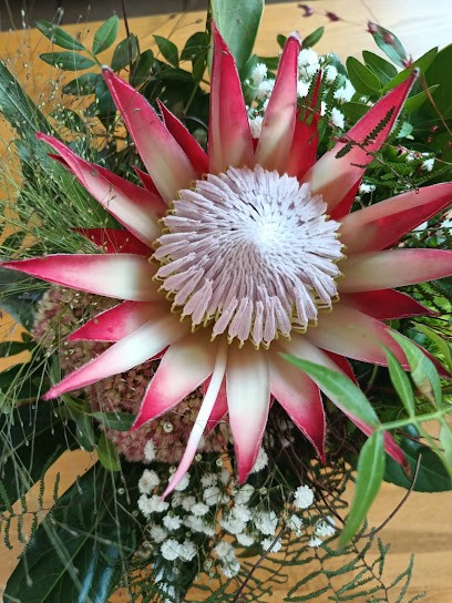 Bleck, Blumenladen in Unterwellenborn