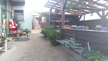 Gärtnerei Thielemann, Blumenladen in Großschönau