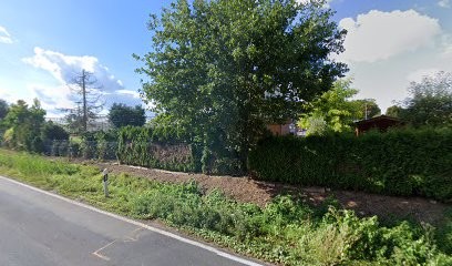 D. Sommerfeld, Blumenladen in Rollshausen