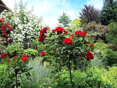 Blumenhaus Geiß, Blumenladen in Schotten