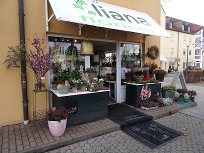 Blumen Liana, Blumenladen in Ingolstadt
