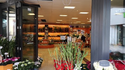 Oranje Blumen P.F. Overdevest GmbH, Blumenladen in Weinheim