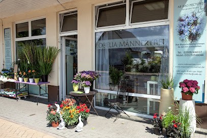 Lobelia Männertreu - Blumenfachgeschäft Hohen Neuendorf OT Borgsdorf, Blumenladen in Hohen Neuendorf