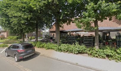 Bloemen Mecking Heiden, Blumenladen in Heiden