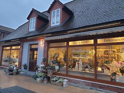 Blumenservice Maiflower D. Döhring, Blumenladen in Ludwigslust