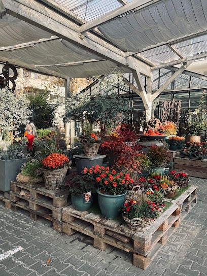 Blumen Kaiser, Blumenladen in Rheinfelden