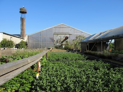 Gärtnerei Neubauer, Blumenladen in Oranienbaum-Wörlitz