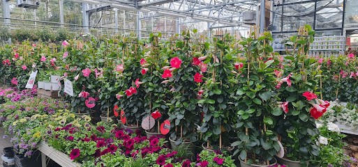 Blumen Sieckmann, Blumenladen in Werlte