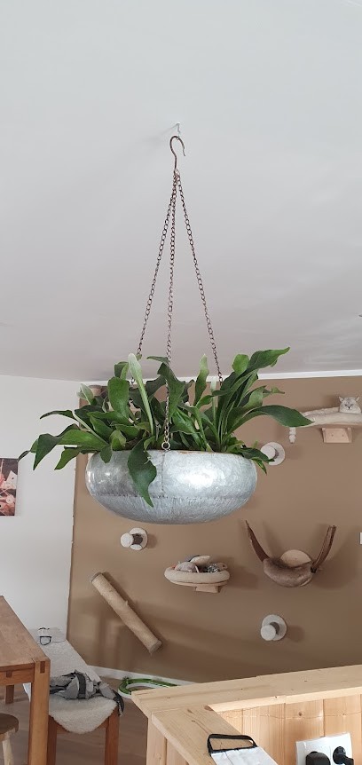 Stefan Ringhoff Blumen Ringhoff, Blumenladen in Ennigerloh