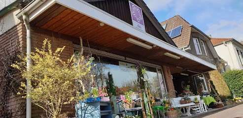 Blumenkästchen Müller Inh Ulrich Nickel, Blumenladen in Wildeshausen