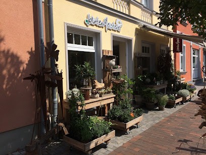 BlütenMeisterei Ribnitz, Blumenladen in Ribnitz-Damgarten