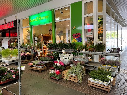 A & Z Blumen Inh. Alexander Zenzen, Blumenladen in Köln