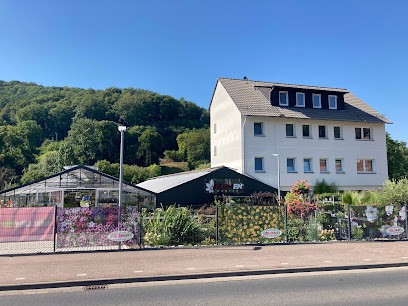 Blumen Center Hann. Münden, Blumenladen in Hannoversch Münden