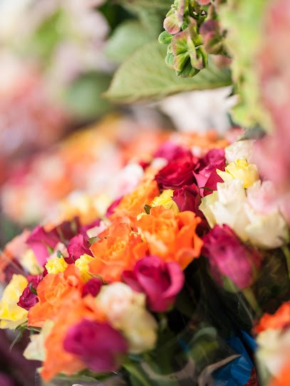 Blumigo, Blumenladen in Lienen