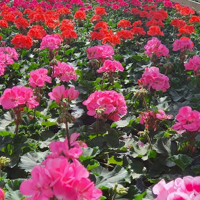 Eyke Fremy Gärtnerei, Blumenladen in Wittmund