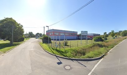 Blumen Grins GmbH, Blumenladen in Kirchheim