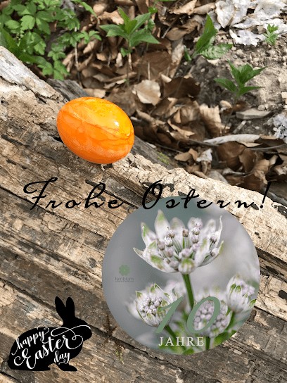 Feinblum, Blumenladen in Leinefelde-Worbis