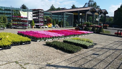 Friedhofsgärtnerei Fromm E.K., Blumenladen in Recklinghausen