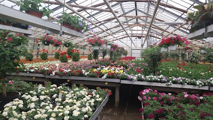 Blumenhaus Hörsting, Blumenladen in Laer