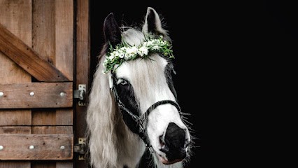 Bluetenpferdchen, Blumenladen in Kleve