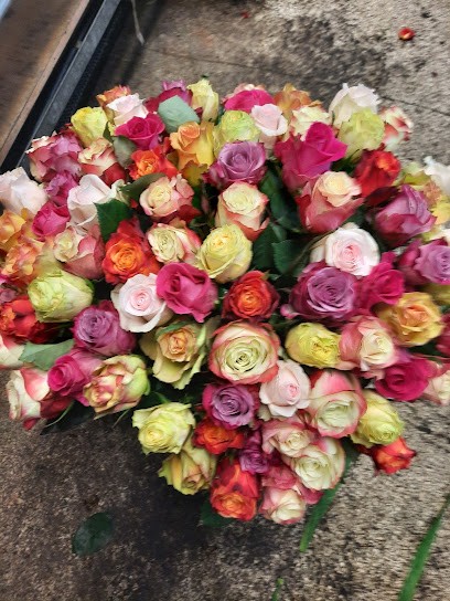 Blumenhandel Piek, Blumenladen in Köln