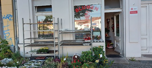 HOANG BLUMEN, Blumenladen in Oranienburg