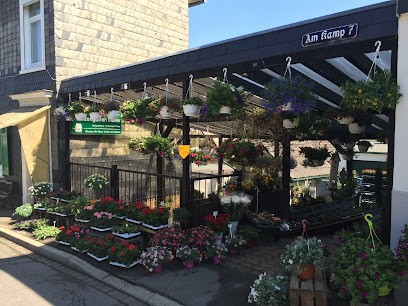 Blumen Müller Inh. Dominik Müller, Blumenladen in Hückeswagen