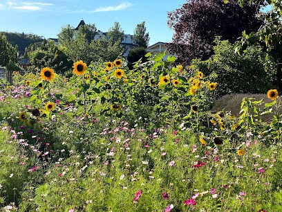 P. Kagelmacher, Blumenladen in Göhren