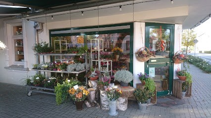 Blumenhaus Heinz Düvier Inh. Annemone Kluge e.K., Blumenladen in Schneverdingen