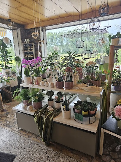 Blumen Inh. Claudia Strobl Friedhofsgärtnerei Plattling, Blumenladen in Plattling