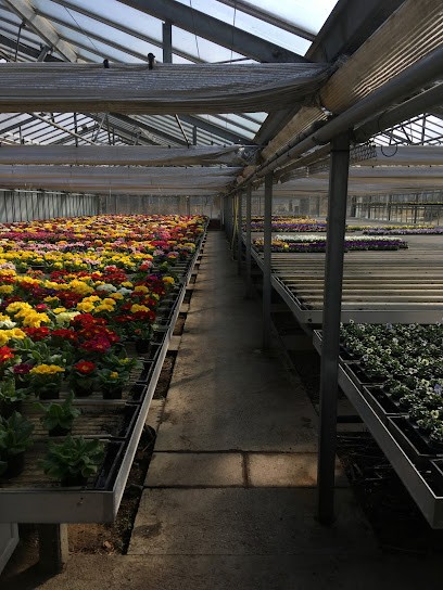 Rupprecht Blumen Gärtnerei, Blumenladen in Ursensollen