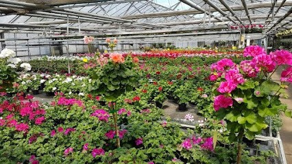 Blumen Krippner, Blumenladen in Oettingen in Bayern