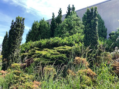 Heinzelmann Frischblume GmbH, Blumenladen in Bayreuth