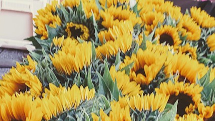 Petite Fleur Blumenhandel, Blumenladen in Muggensturm