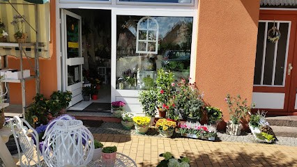 Blumenstübchen am Markt, Blumenladen in Neukloster