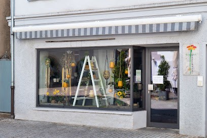 Blumen Mayrhofer, Blumenladen in Leutkirch im Allgäu