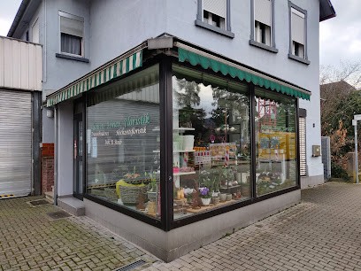 Blumen - Floristik Steib, Blumenladen in Gaggenau