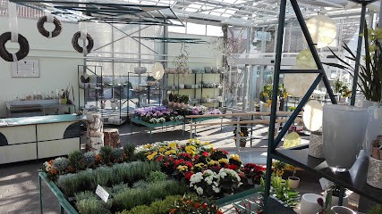 Blumenhaus Koch, Blumenladen in Blomberg