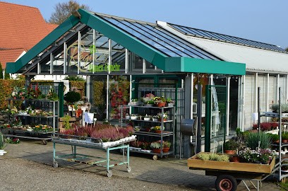 Regines Blumen & Mehr, Blumenladen in Großenwiehe
