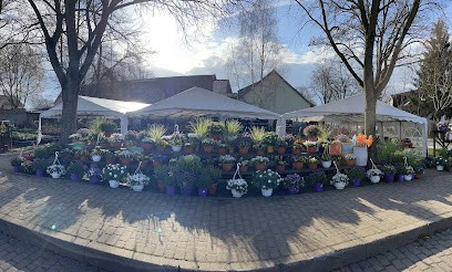 Blumen Albrecht, Blumenladen in Rangsdorf