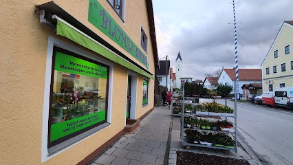 Blumenhaus Neufahrn, Blumenladen in Neufahrn bei Freising
