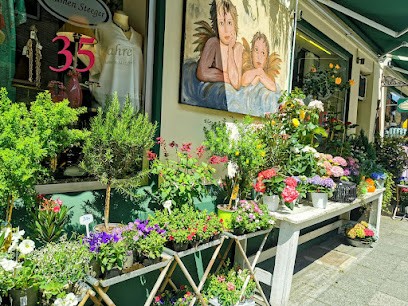 Blumen Steeger, Blumenladen in Duisburg