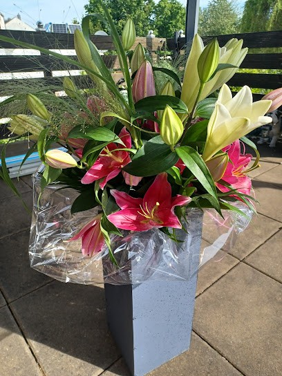 Blumen M. Göttert (Creativ), Blumenladen in Wadgassen